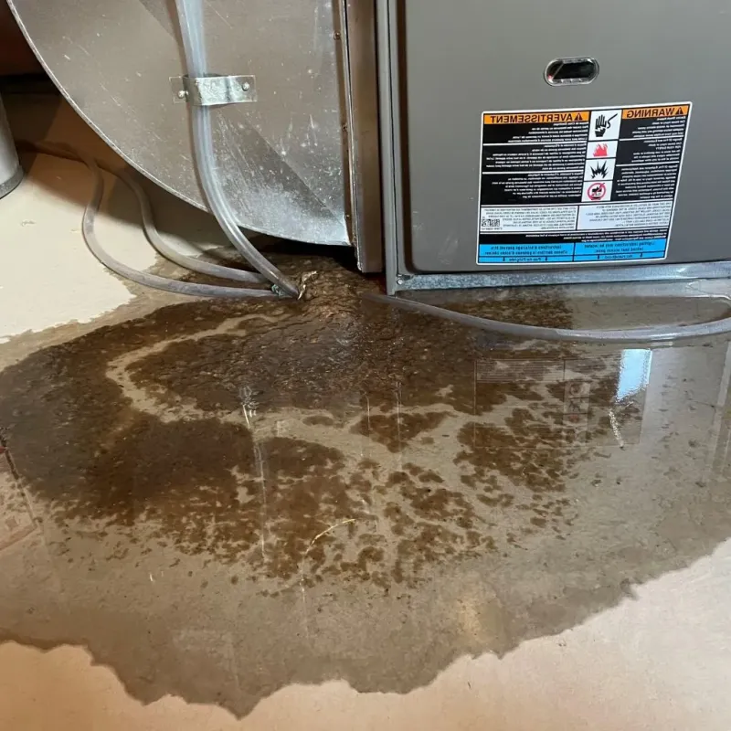 Pipe Burst and Leak Restoration in Dennison, OH